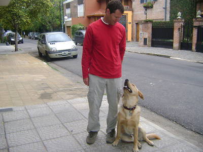 Educación canina
