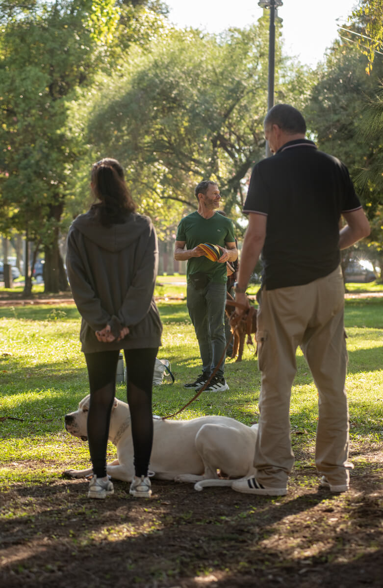 Perros de servicio