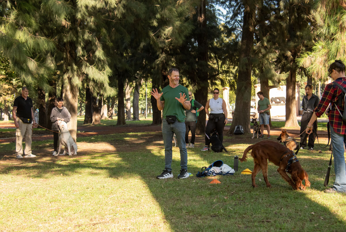 Perros de servicio