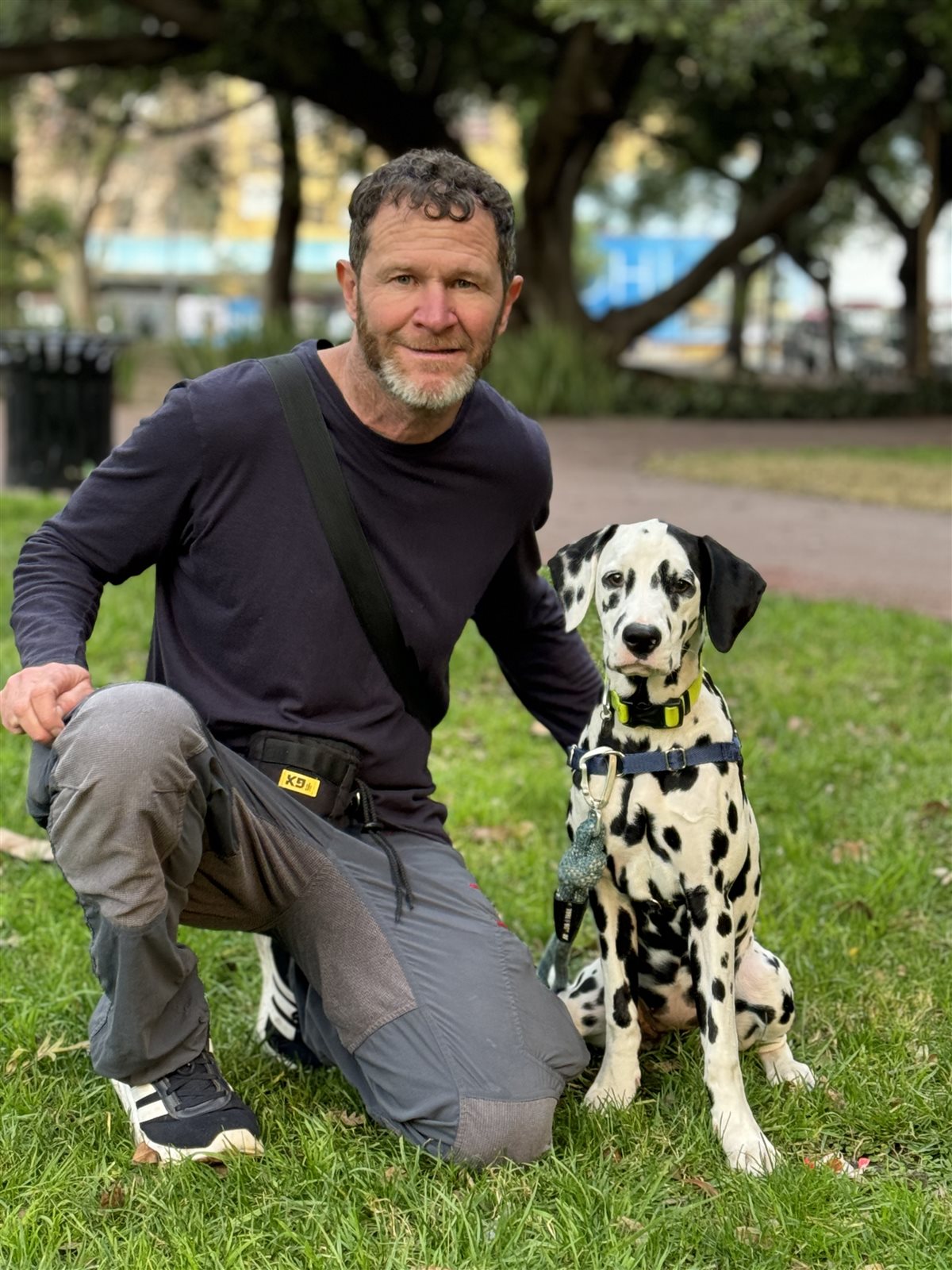 Entrenamiento de perros