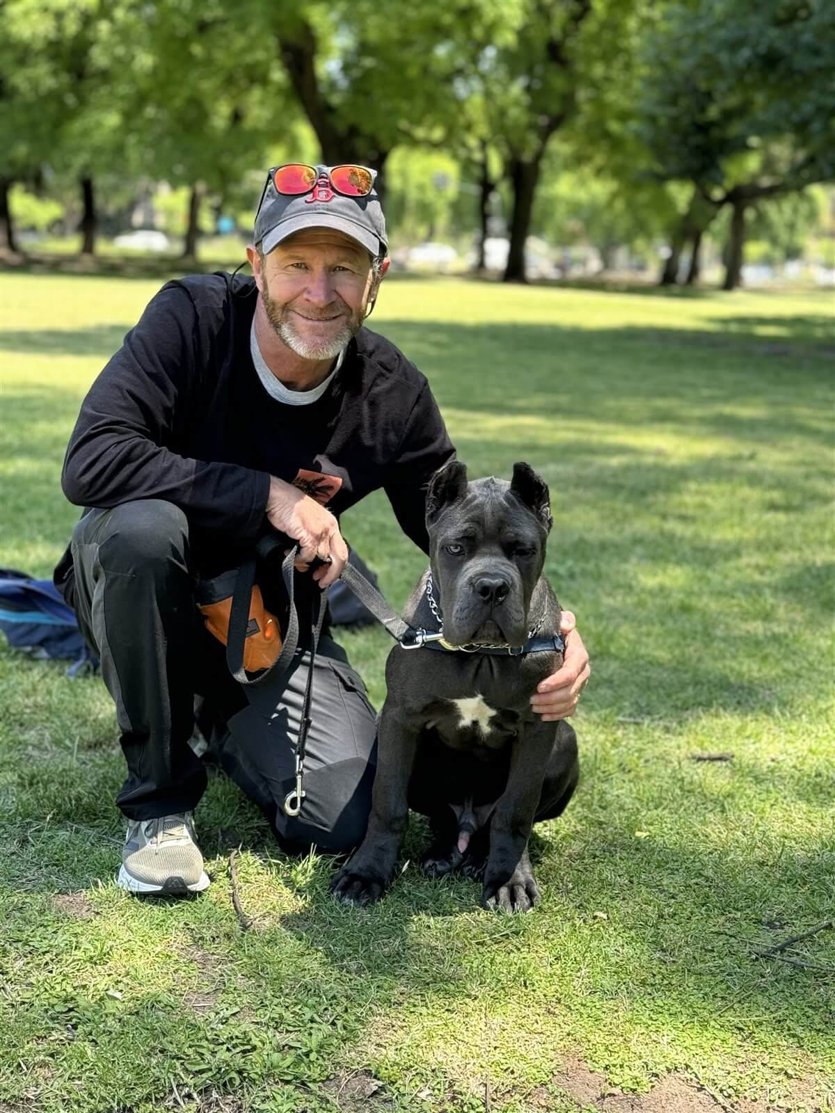 Entrenamiento de perros