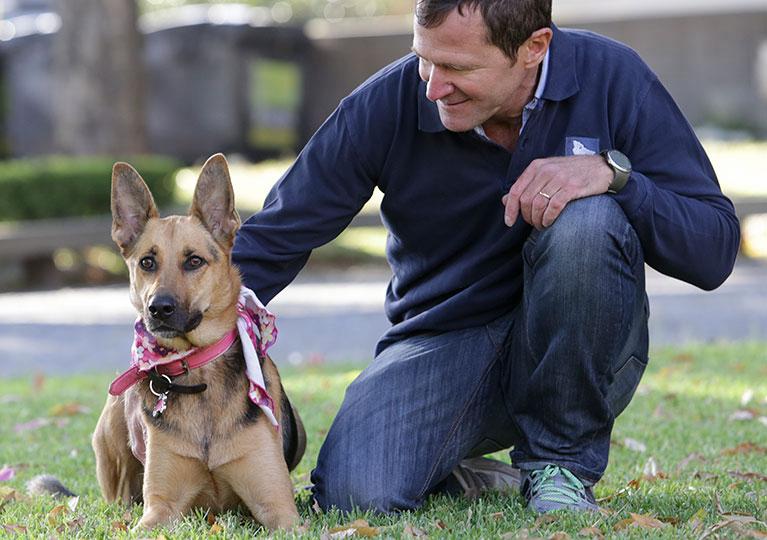 Entrenamiento de perros