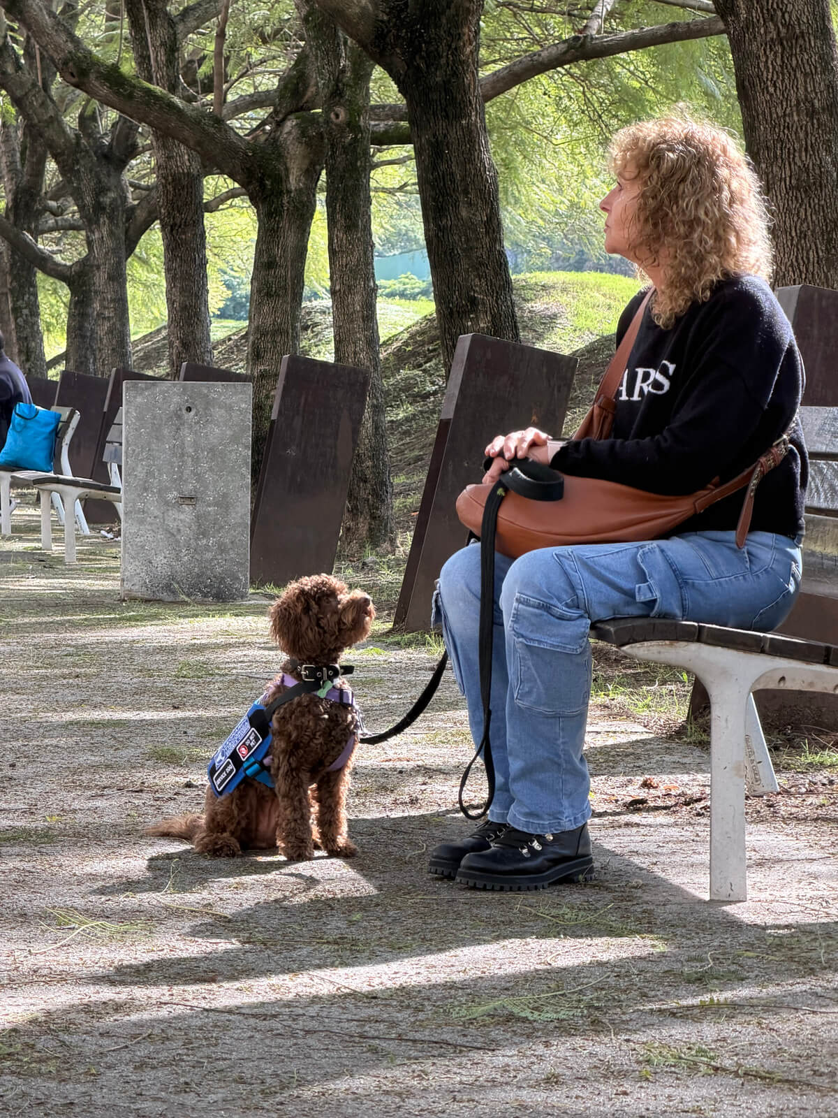 Perros de apoyo
