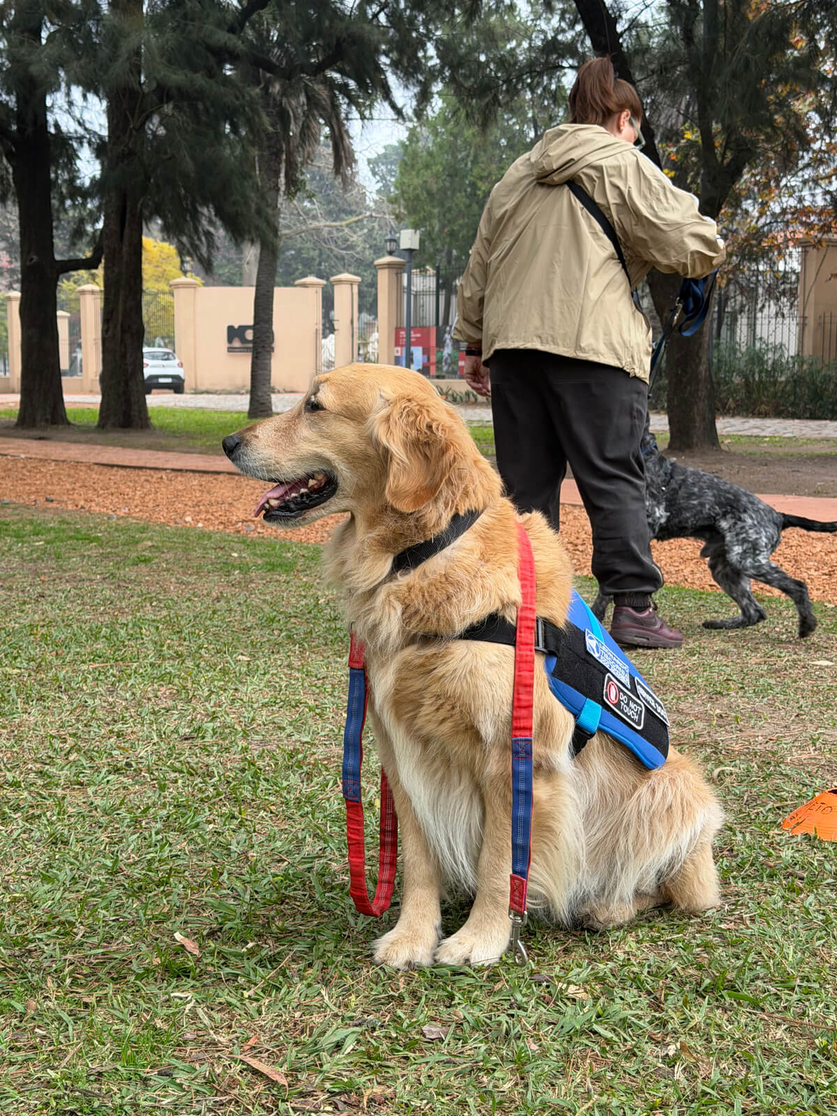 Entrenamiento funcional