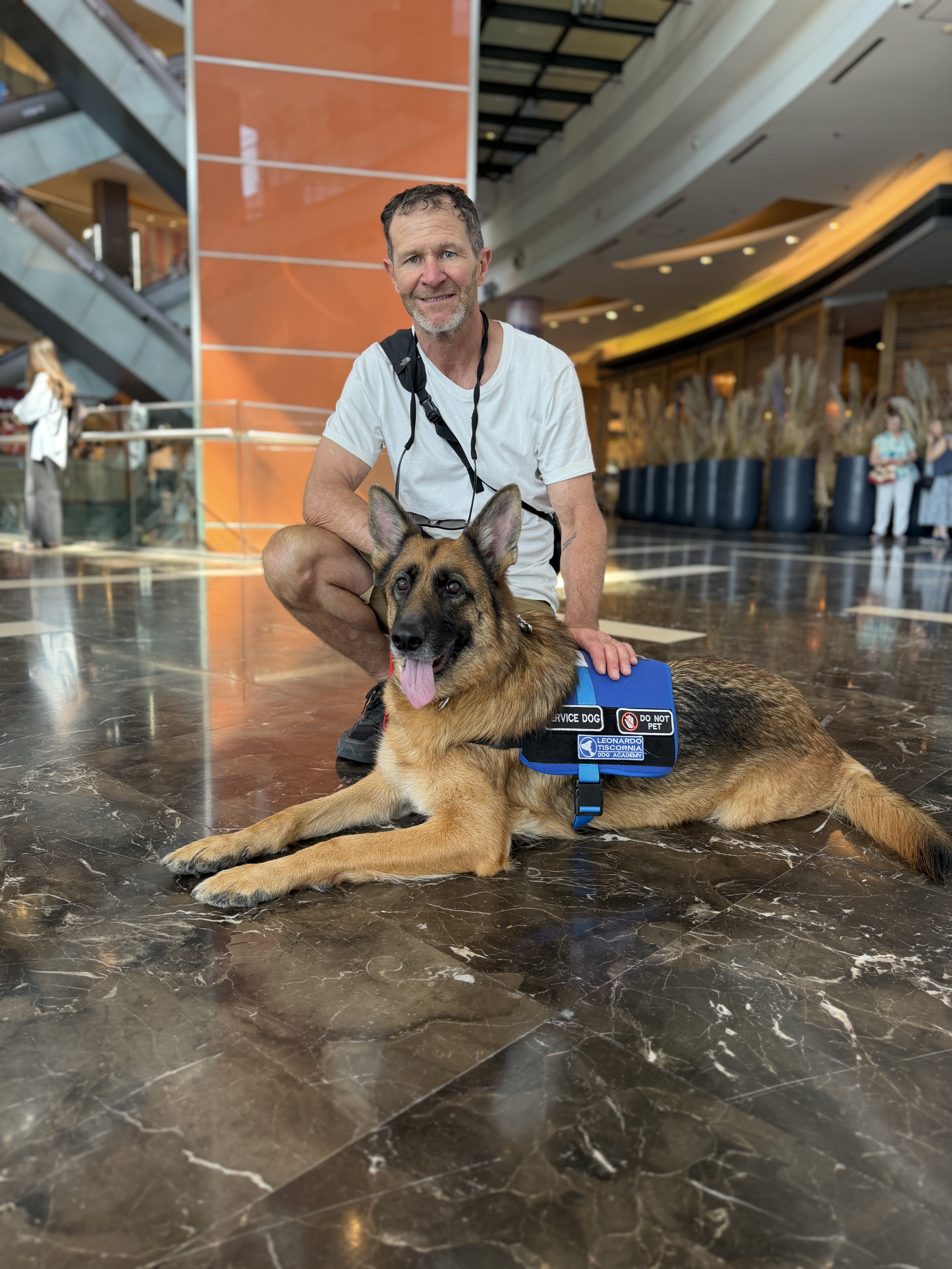 Cosmo — Service dog