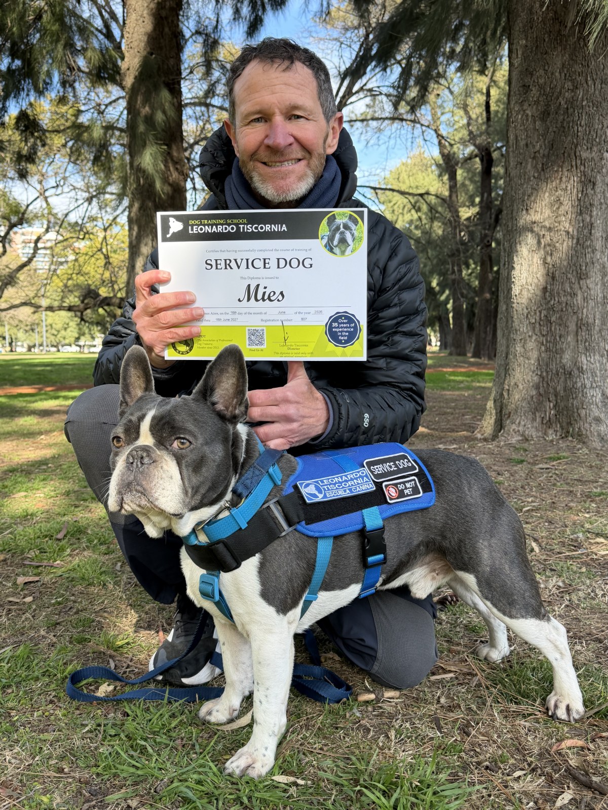 Mies — Service dog