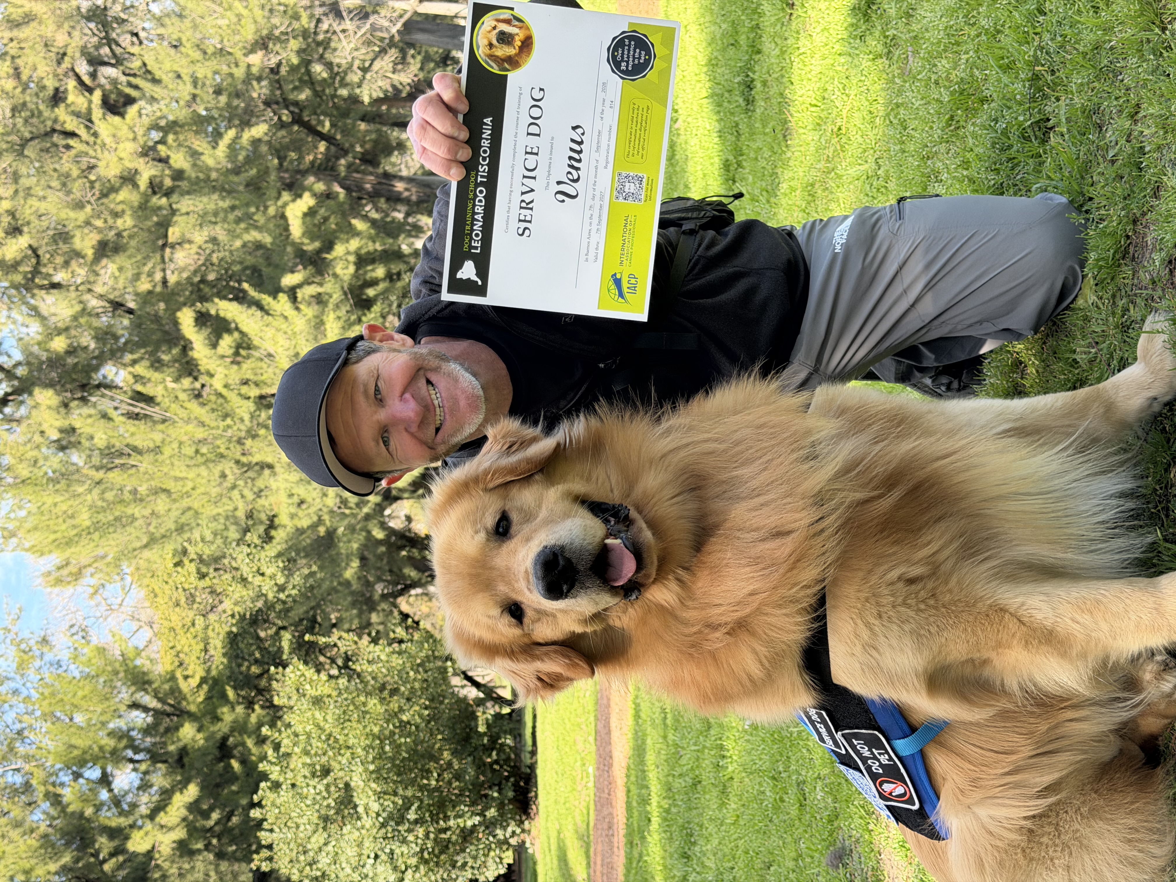 Venus — Service dog